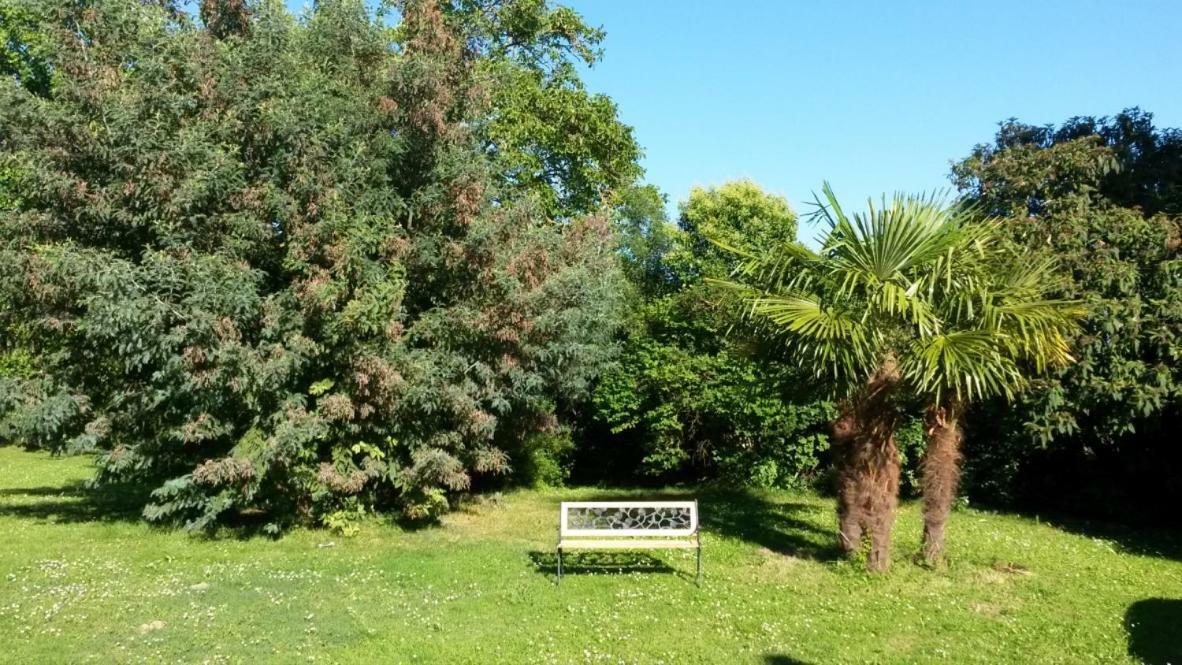 Grisolles  Villa Toulousaine מראה חיצוני תמונה