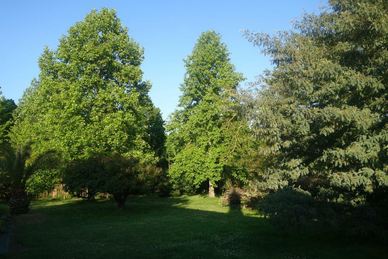 Grisolles  Villa Toulousaine מראה חיצוני תמונה